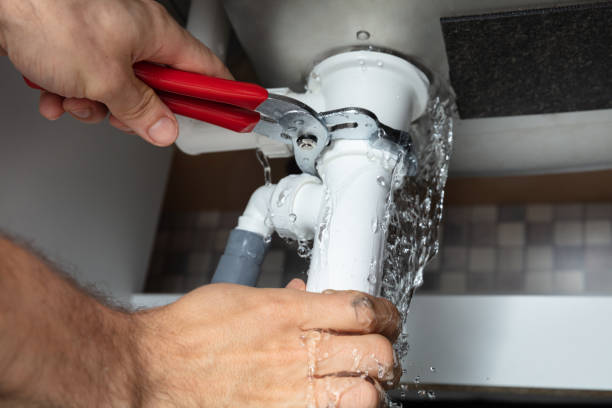 Best 24/7 water damage repair  in Carpendale, WV