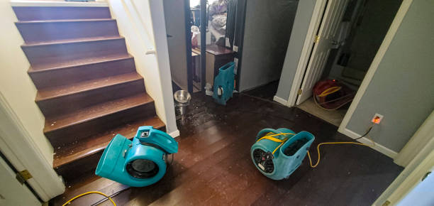 Best Ceiling water damage repair  in Carpendale, WV