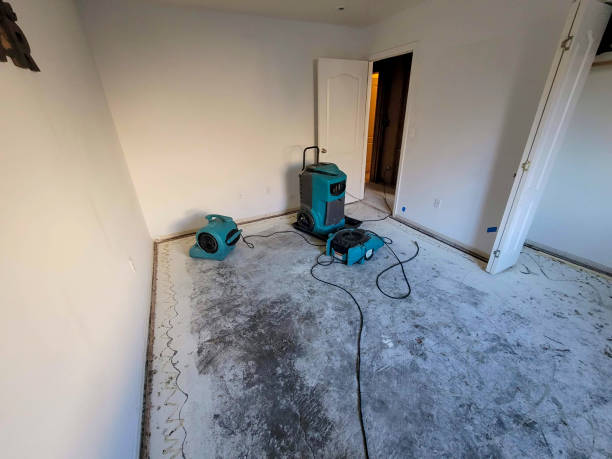 Best Water damage contractors near me  in Carpendale, WV