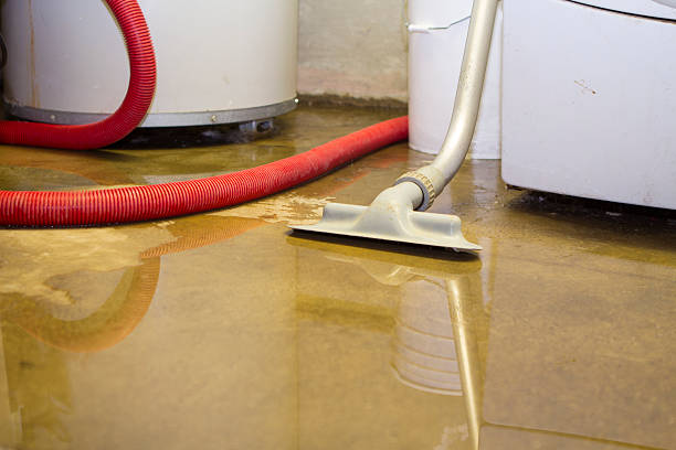 Best Flood damage cleanup  in Carpendale, WV