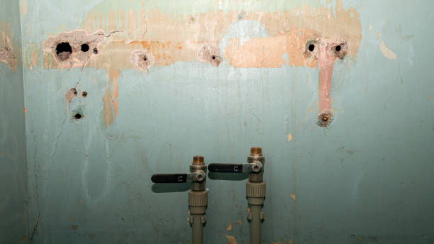 Best Water damage restoration near me  in Carpendale, WV