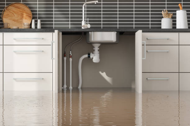Best Professional water damage repair  in Carpendale, WV