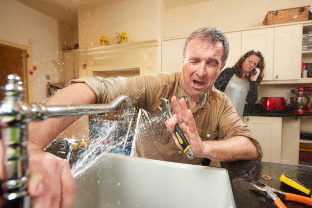 Best 24-hour water damage restoration  in Carpendale, WV